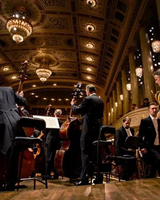 Sonic Live In Concert